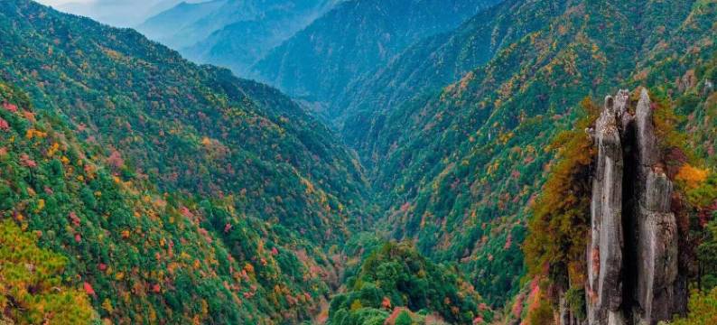 吉安丨杜鹃花Comfort Relax Lifestyle零压智慧酒店(吉安站店)图片