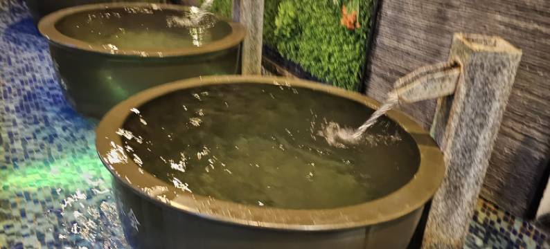 陆丰华逸酒店(人民路店)图片