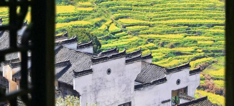 婺源山外事民宿(篁岭景区A索道口店)图片