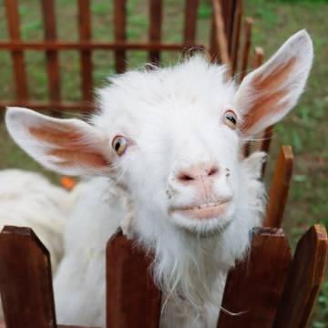 仁怀温泉大酒店图片