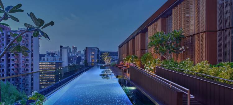 新加坡瓦雷尔臻品之选酒店(Varel Singapore, a Tribute Portfolio Hotel)图片