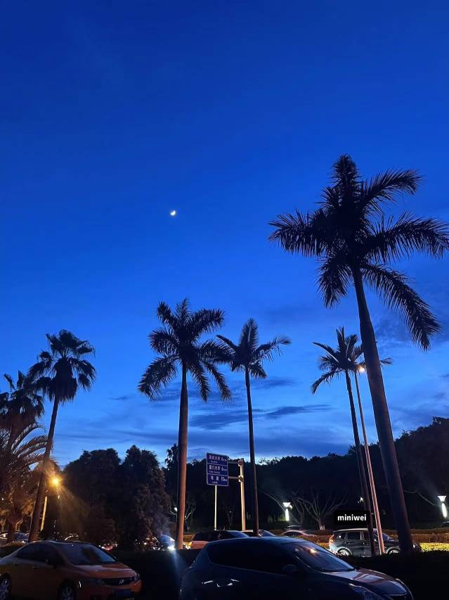 厦门青三小筑民宿(环岛路黄厝海滩店)图片