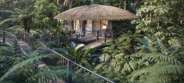 Twinpalms Treehouses Phuket图片