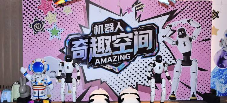 岳阳雅高铂尔曼酒店图片