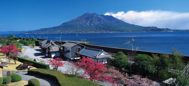 东横INN-鹿儿岛天文馆2号(Toyoko Inn Kagoshima Temmonkan No 2)图片