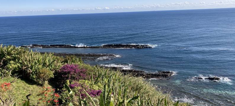 东横INN-宫崎中央通(Toyoko Inn Miyazaki Chuo-dori)图片
