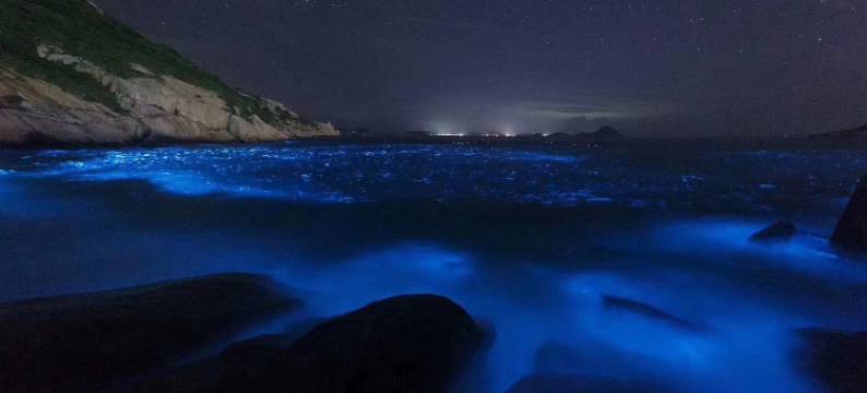 嵊泗花鸟岛巷往民宿图片