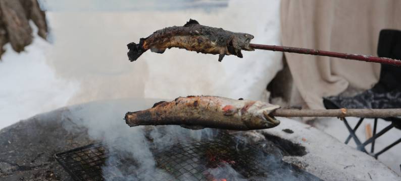 长白山双溪森林营地图片
