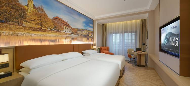 维也纳酒店(安庆碧桂园万达广场店)图片