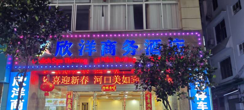 河口欣洋商务酒店图片