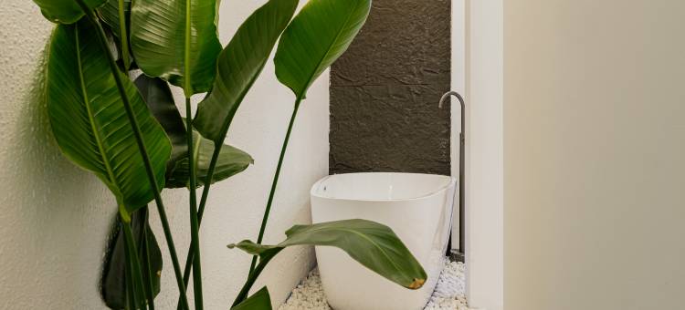 西塘风雅颂精品酒店图片