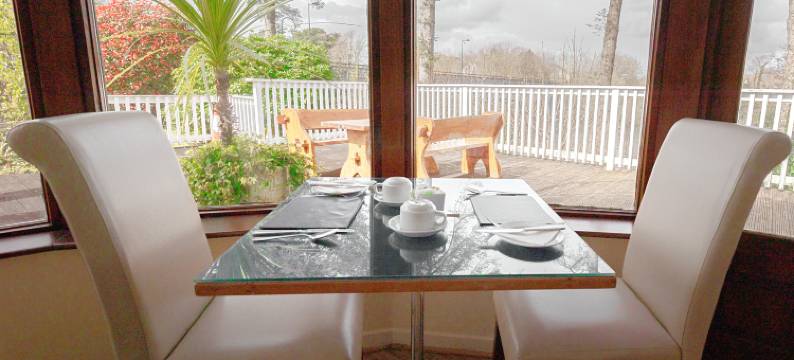基拉尼美景住宿加早餐旅馆(Killarney View House B&B)图片