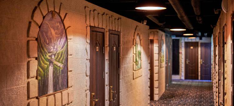 鲍曼站冬季酒店(Winterfell Baumanskaya)图片