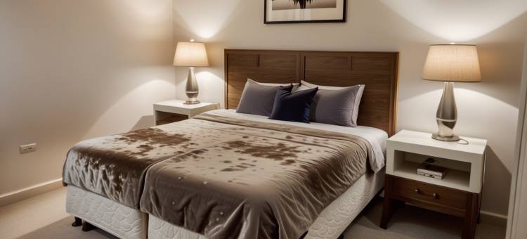 StaysPro - 威尼斯海滩豪华公寓，距码头和圣塔莫尼卡几分钟(StaysPro - Venice Beach Luxury Apartments Minutes to the Marina and Santa Monica)图片
