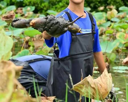 寓见小舍精品民宿图片