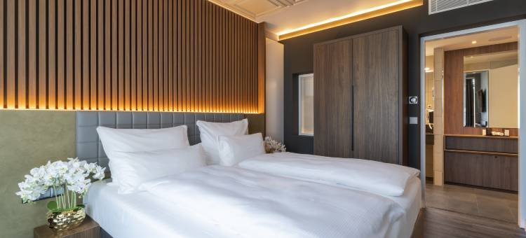 海德堡广场高级酒店(PLAZA Premium Heidelberg)图片