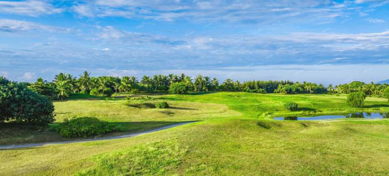 走过花街遇见海独立院子图片