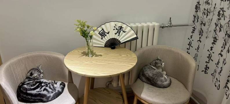 十叁都赋青年旅社(西安钟鼓楼城墙店)图片