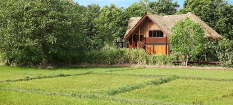 杰特威水田奢居(Jetwing Vil Uyana, A Luxury Reserve)图片