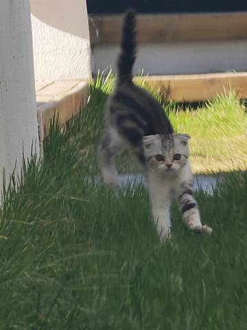 星宿火山民宿(乌兰哈达火山地质公园店)图片