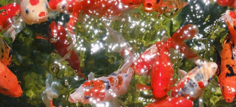 伊宁一舍一界民宿图片