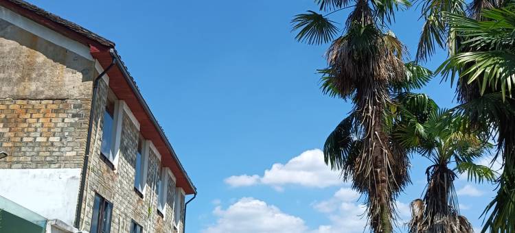 庆元菇语精品酒店图片