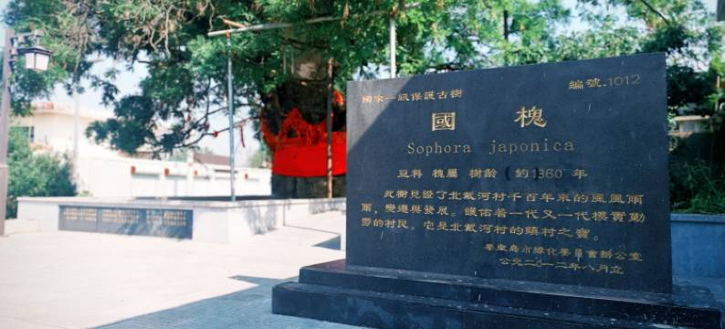 槐府人家民宿(北戴河火车站店)图片