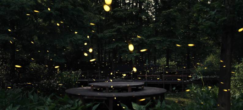 在村上·莫干山温泉度假民宿(萤火虫基地店)图片