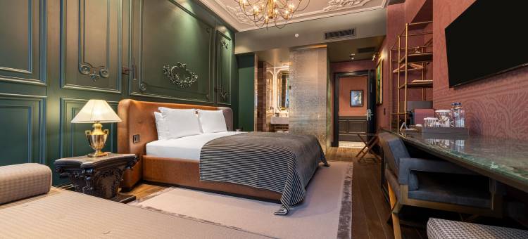 伊斯坦布尔东西方酒店，傲途格精选(Orient Occident Hotel Istanbul, Autograph Collection)图片