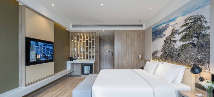 合肥高新区创新产业园颐朵酒店图片