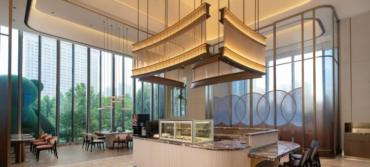 武汉光谷希尔顿花园酒店图片