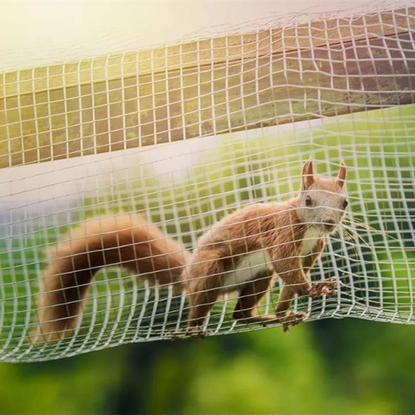 安吉云上草原度假村·松鼠部落酒店图片