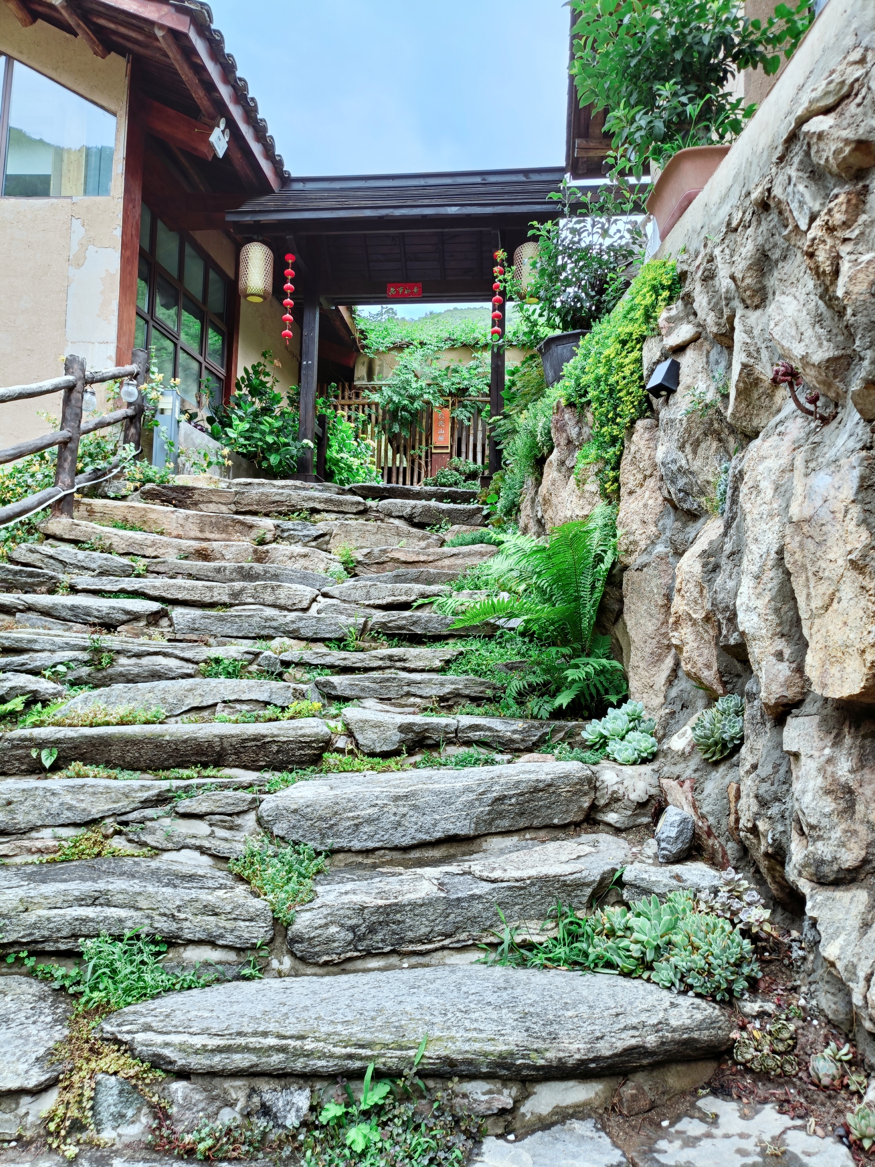 Group 3, Yinchanggou Village, Xichahe Town, Foping County, Shaanxi Province, ChinaOver view