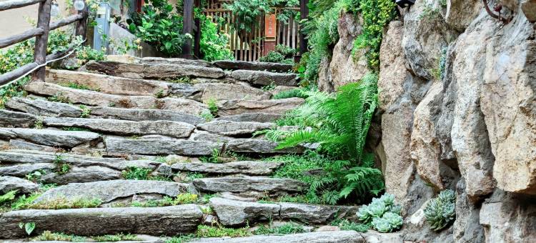 佛坪贝壳山居图片