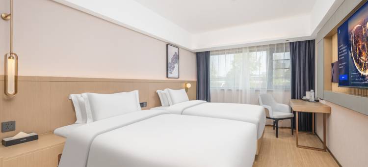 麗枫酒店(洛阳应天门洛邑古城店)图片