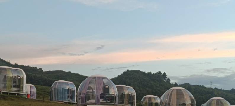 鸿景露营基地图片