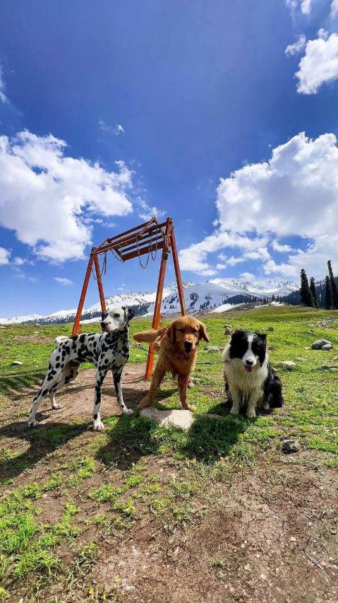 璞宿溪山·Moonbay Starry·星空泳池美居(月亮湾风景区店)图片