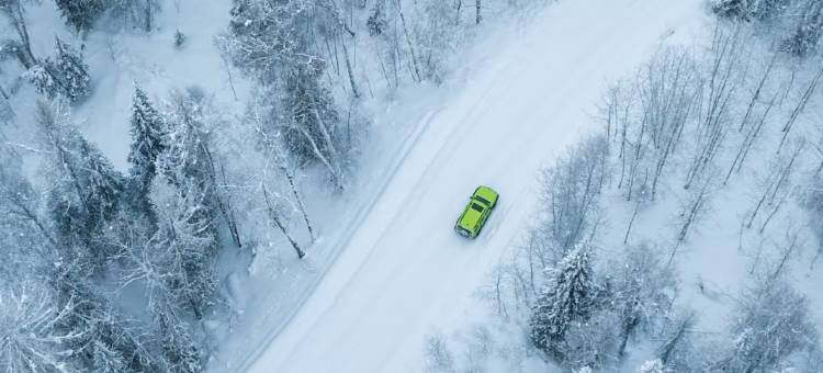 深山见•山野如许•自然美学花园庭院民宿(白哈巴老村店)图片