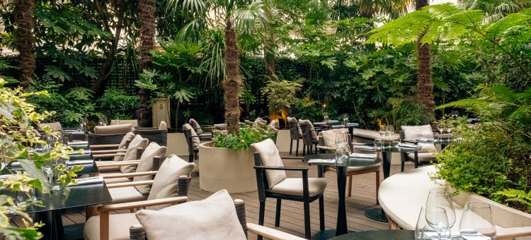 巴黎左岸艺术女士酒店(Hotel Dame des Arts)图片