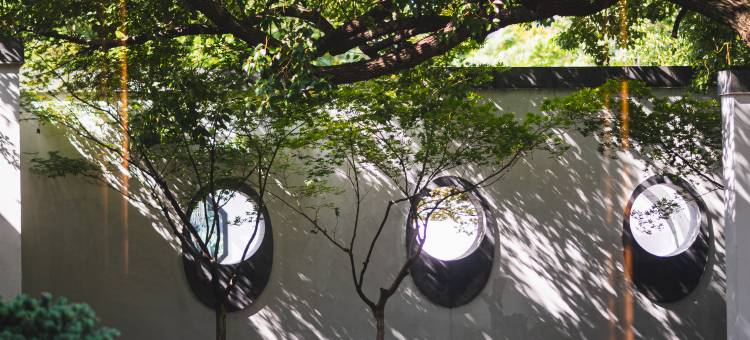 苏州金鸡湖托尼洛·兰博基尼书苑酒店图片