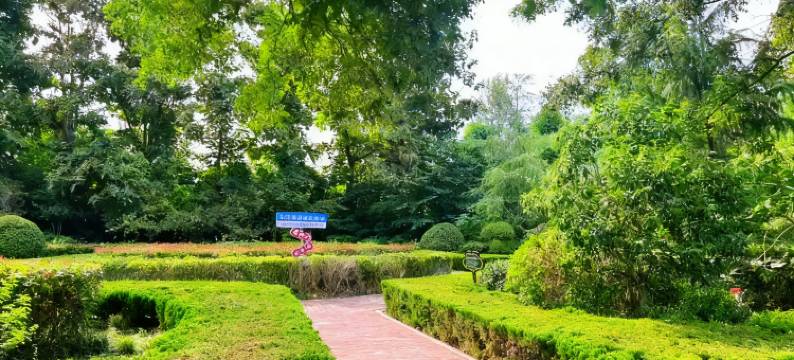 鄄城水邑嘉年华酒店图片