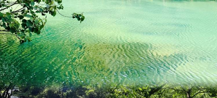 逸宿美住酒店(宁波北仑银泰城新大路店)图片