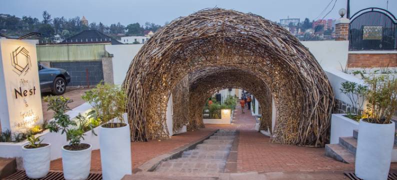 Rugando的巢穴(The Nest)图片