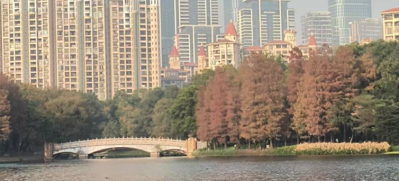 美豪丽致酒店(佛山乐从天佑城店)图片