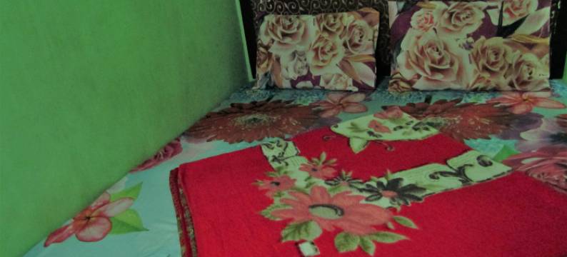 尼尔玛拉酒店(Hotel Nirmala)图片