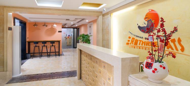 三只猫青年旅社(惠州港惠购物中心店)图片