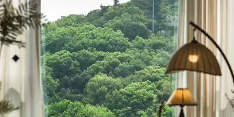 三清山徽隱民宿(金沙索道店)
