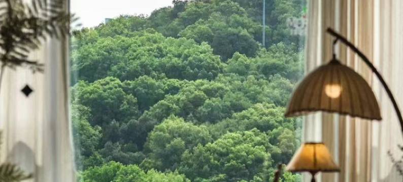 三清山徽隐民宿(金沙索道店)图片