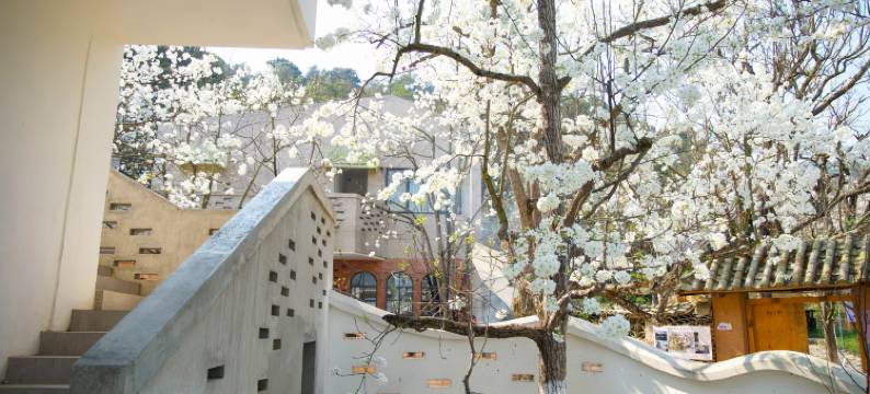 个旧山水云间民宿图片