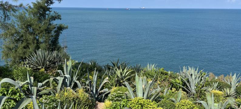 涠洲岛·春夏悬崖花园海景民宿图片